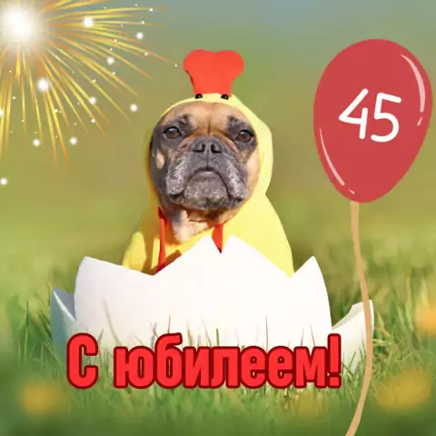 Прикольная открытка с юбилеем 45 лет