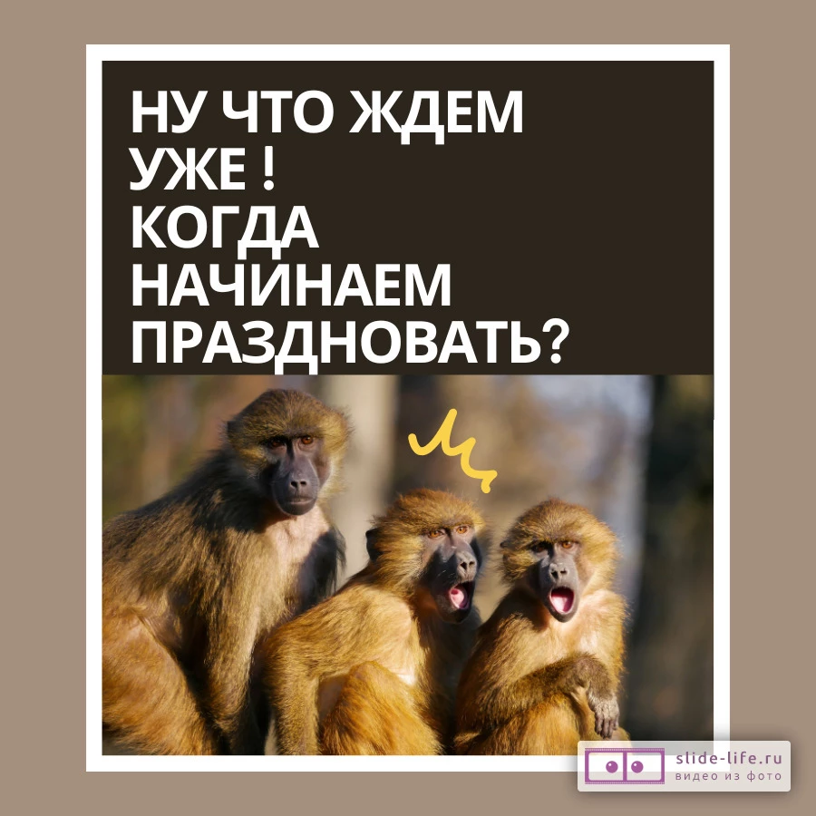 Открытка юморная с днем рождения женщине