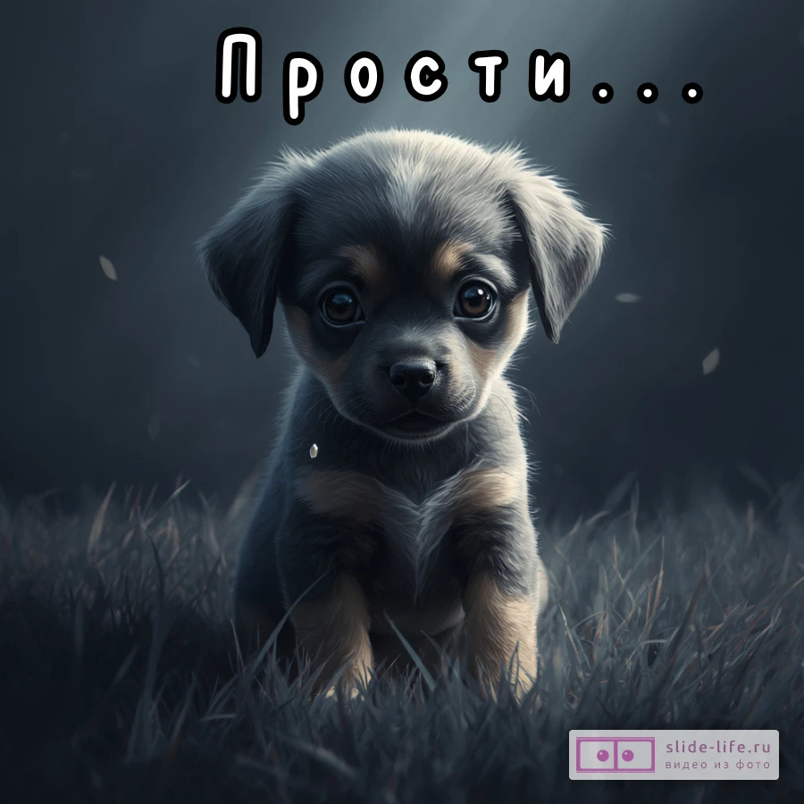 Прости пожалуйста Открытка с душевным текстом