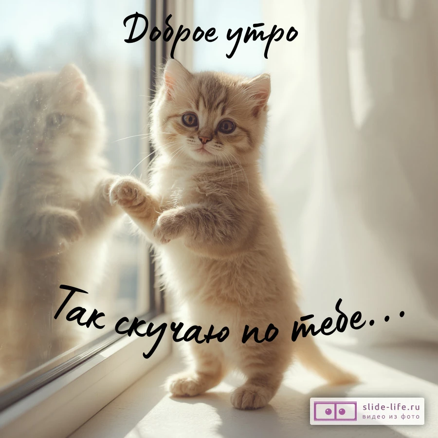 Открытка скучаю и желаю доброго утра на расстоянии