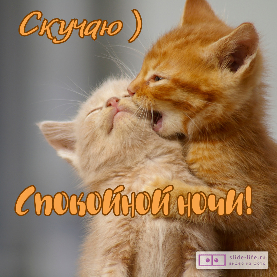 Открытка спокойной ночи скучаю