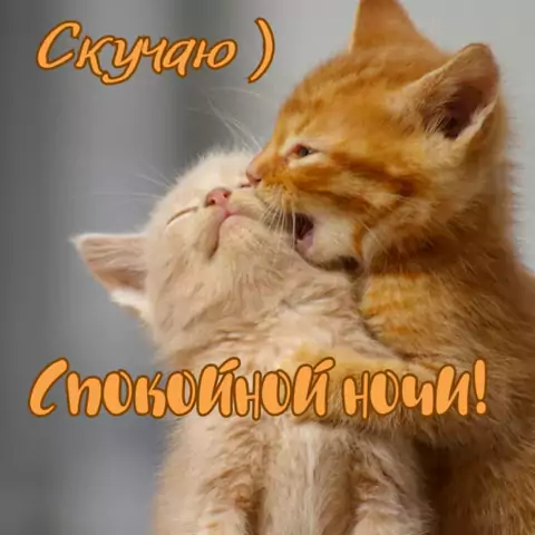 Открытка спокойной ночи скучаю