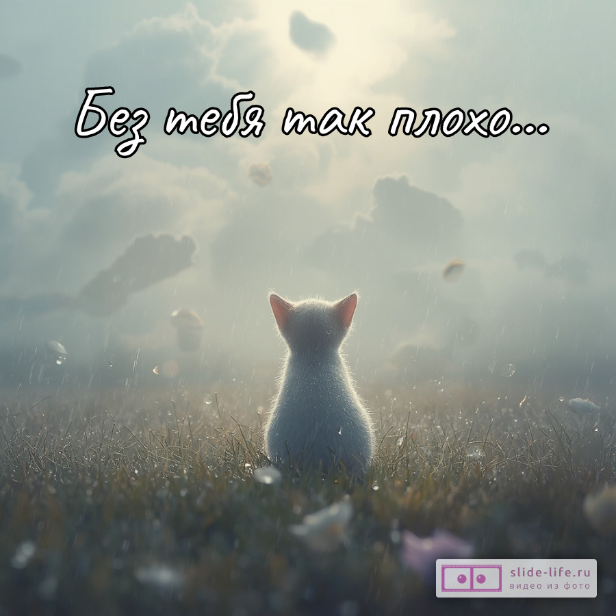 Прости меня без тебя так плохо открытка