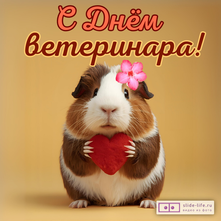 Милая открытка с днем ветеринара