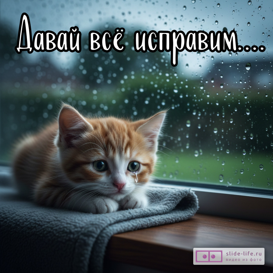 Прости меня давай все исправим открытка