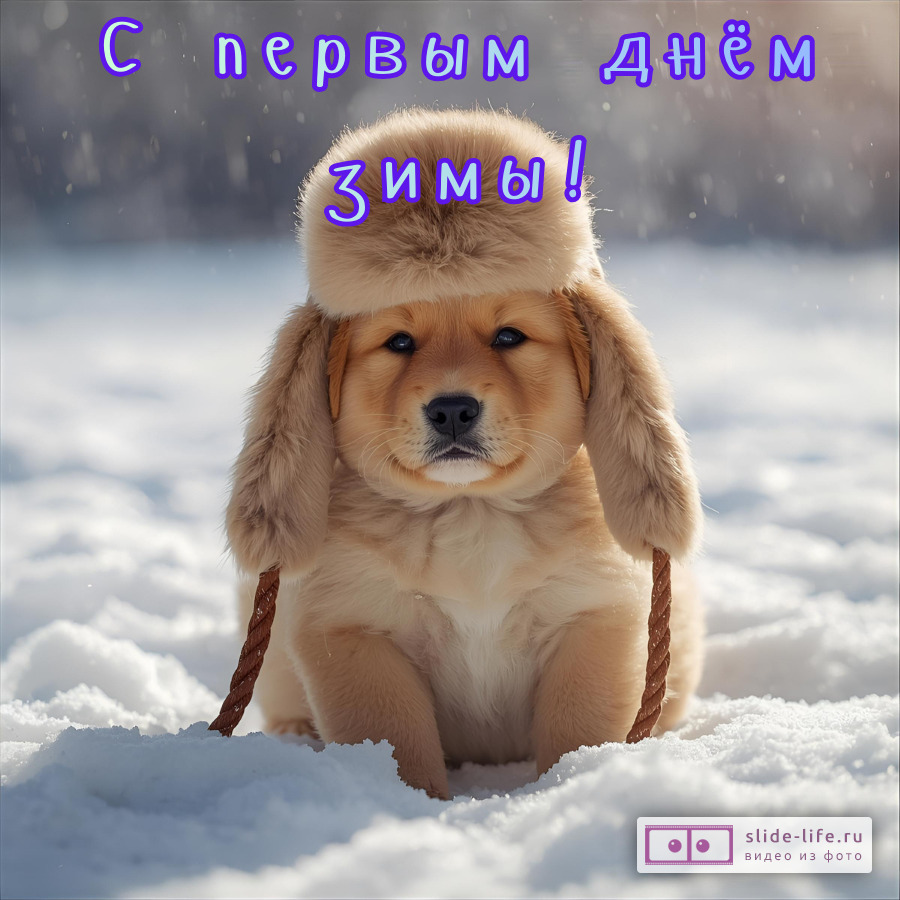 Открытка с первым днем зимы классная