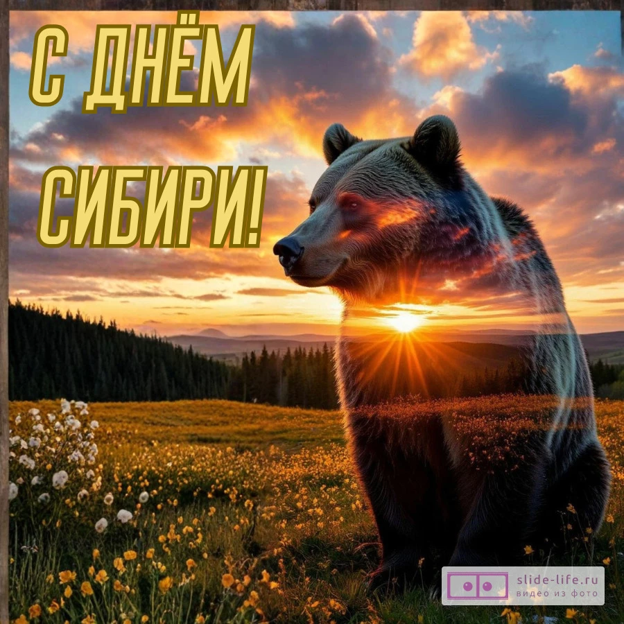 Открытка на день сибири