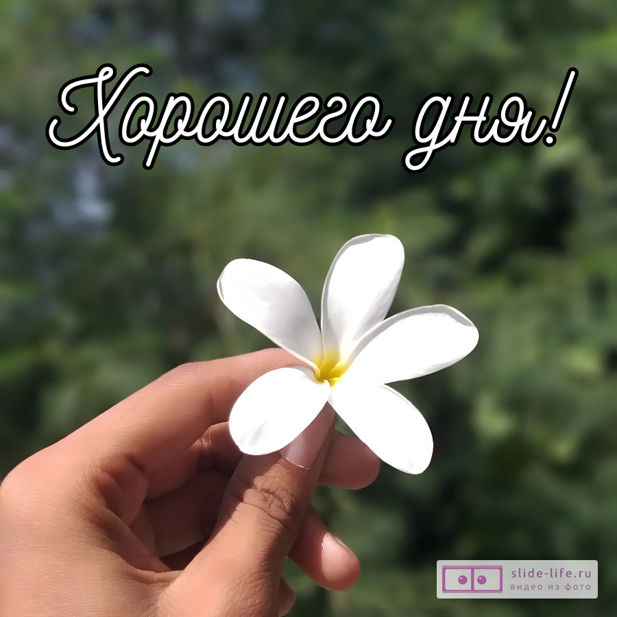 Хорошего дня! Нежная открытка с пожелание